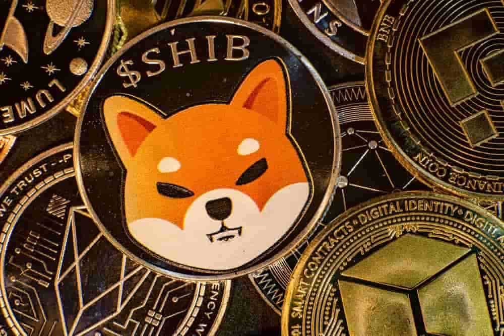 MÄÄRITELTY Mikä se on? Tutustu jälleenmyyjien hajautettuun GPU-verkkoon 2 top 10 memecoin huomionarvoinen vuonna 2034